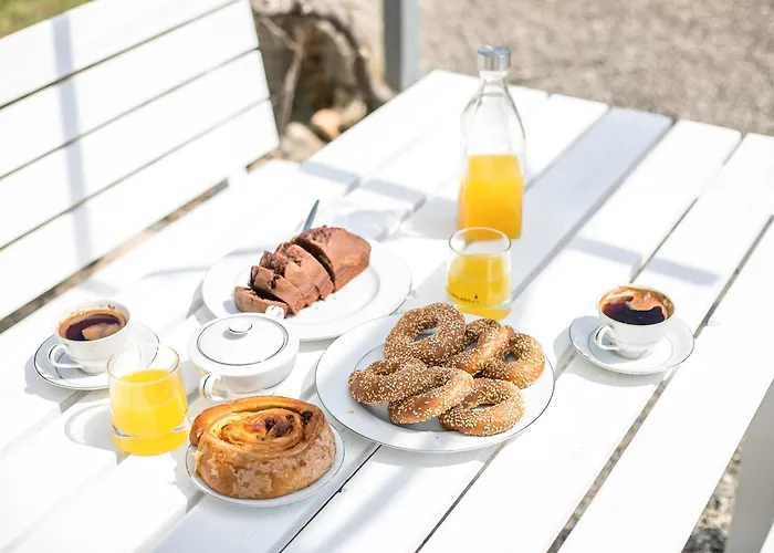 Ennisfree فيلة كوتاري